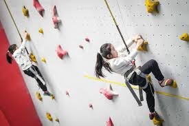 我们多特怎么办啊！超算预测多特欧冠夺冠概率0.