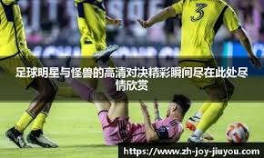 德甲焦点战：霍芬海姆主场硬撼勒沃库森